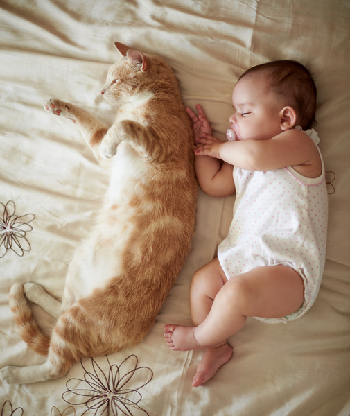 Дружба с пеленок: 30 милых фото детей с их котами