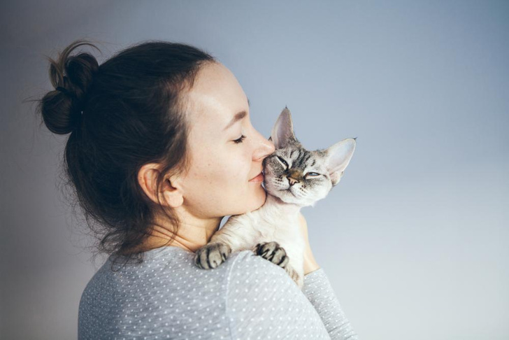 Наташа, мы все уронили: как понять, что говорит ваша кошка🐈