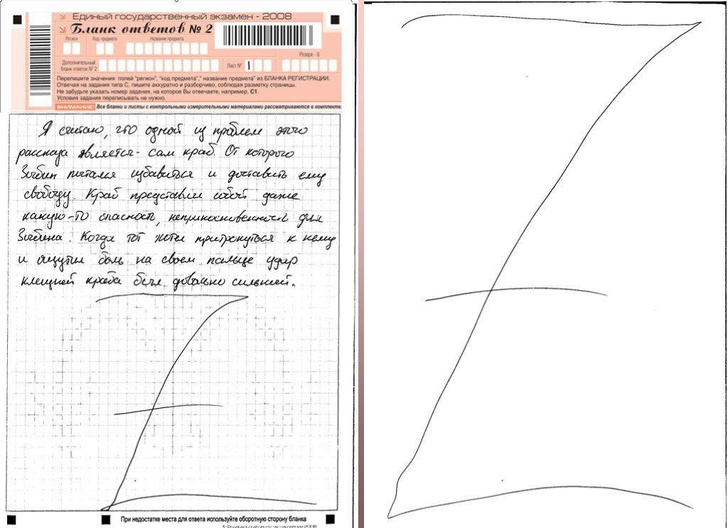 9 типичных ошибок при заполнении бланка ЕГЭ, за которые снизят баллы