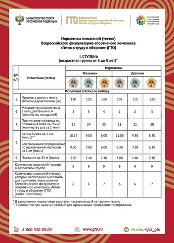 Готов к труду и обороне: какие нормы у ГТО и зачем их нужно сдавать